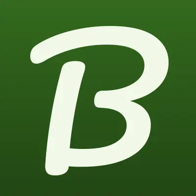 Boss Bar
